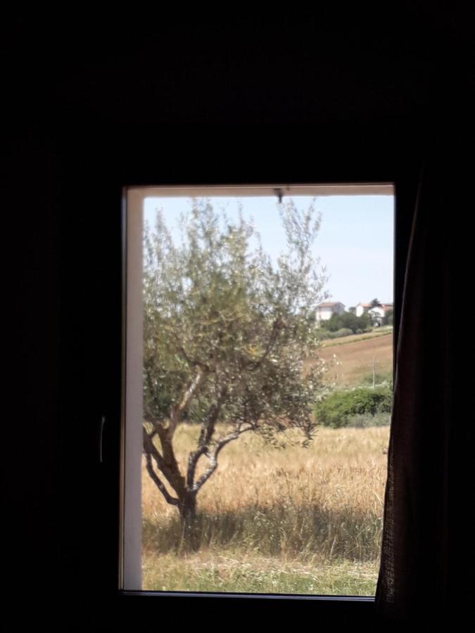 Casa Rosa Bed & Breakfast San Costanzo Exterior photo