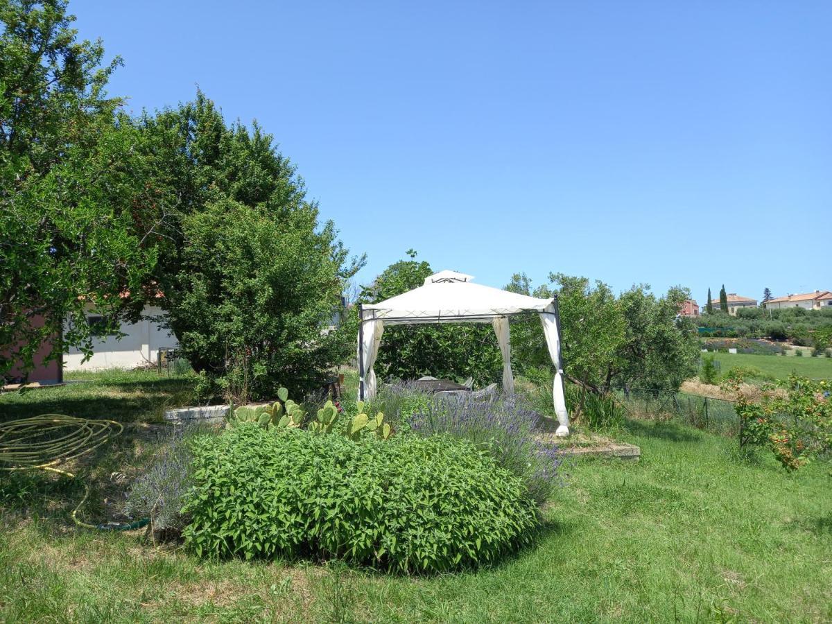 Casa Rosa Bed & Breakfast San Costanzo Exterior photo